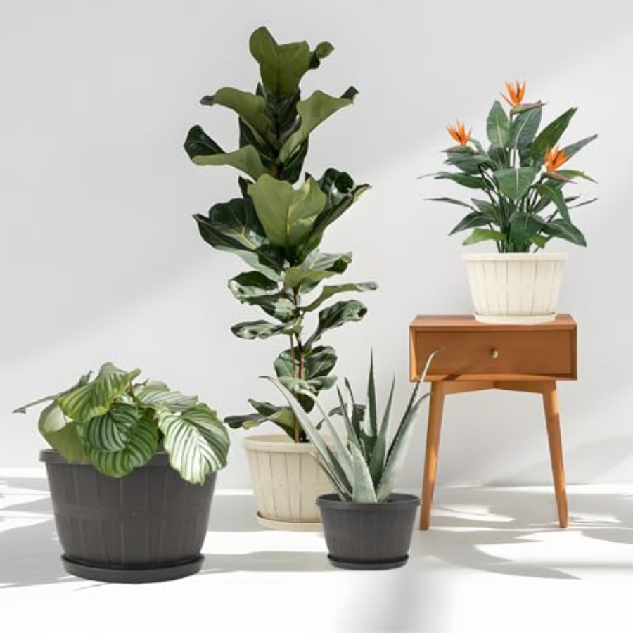 Indoor/outdoor large plastic f - Whiskey Stone Set recensione e prezzo